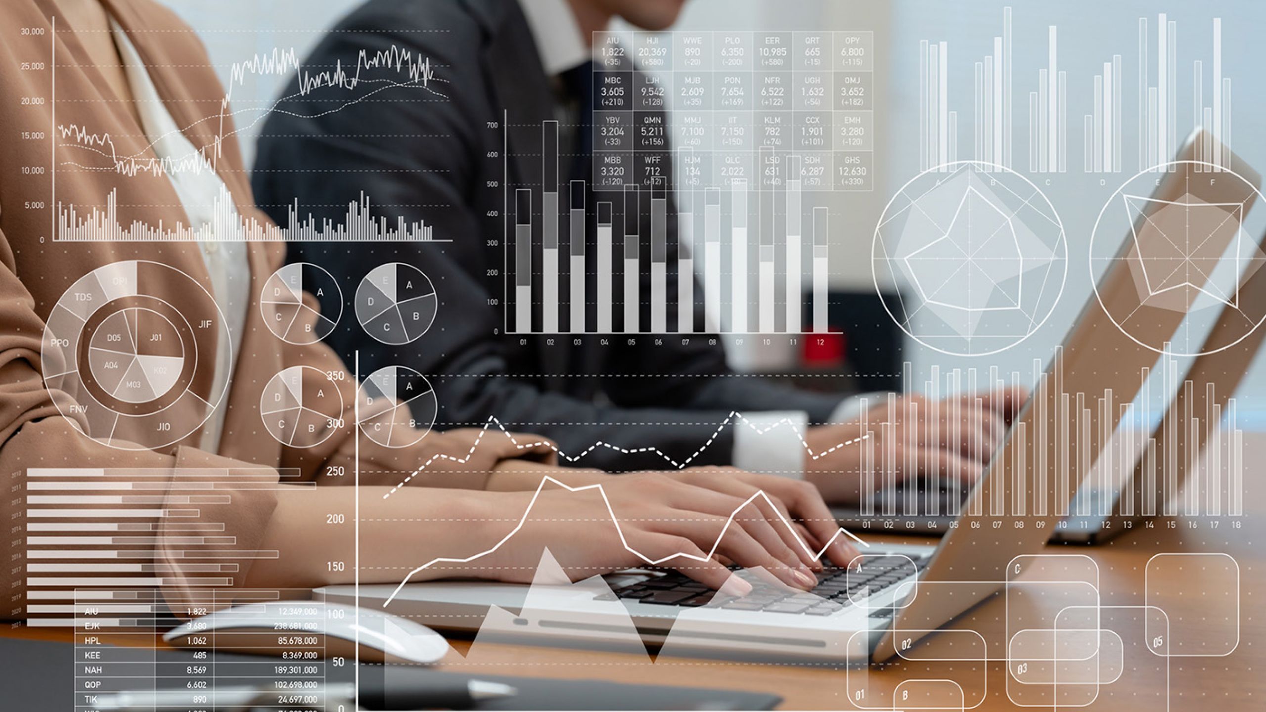 Asesorías de Empresas