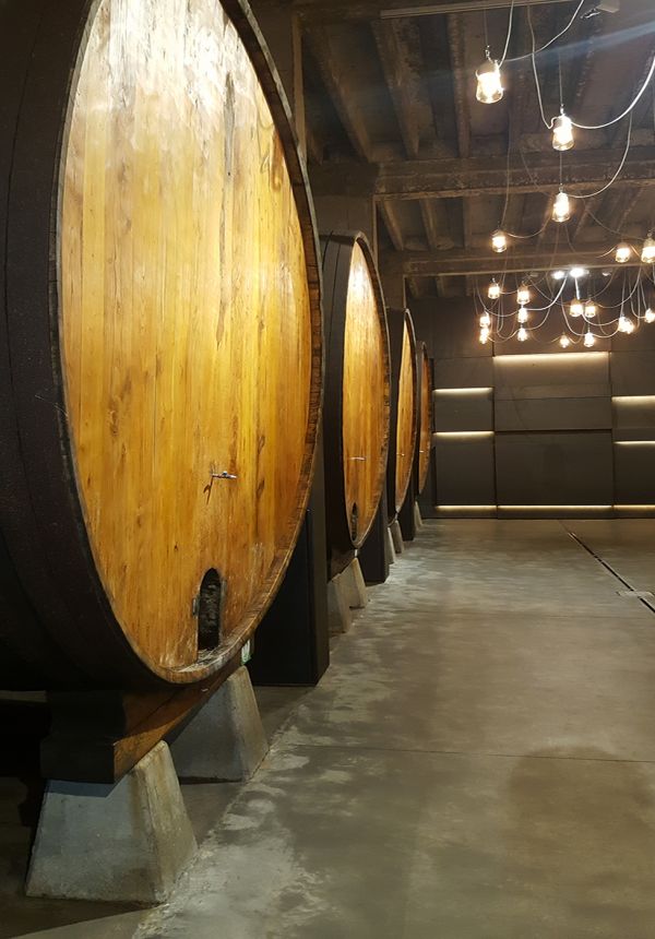 asesorias de empresas de alimentación